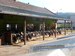 P1230903.JPG
